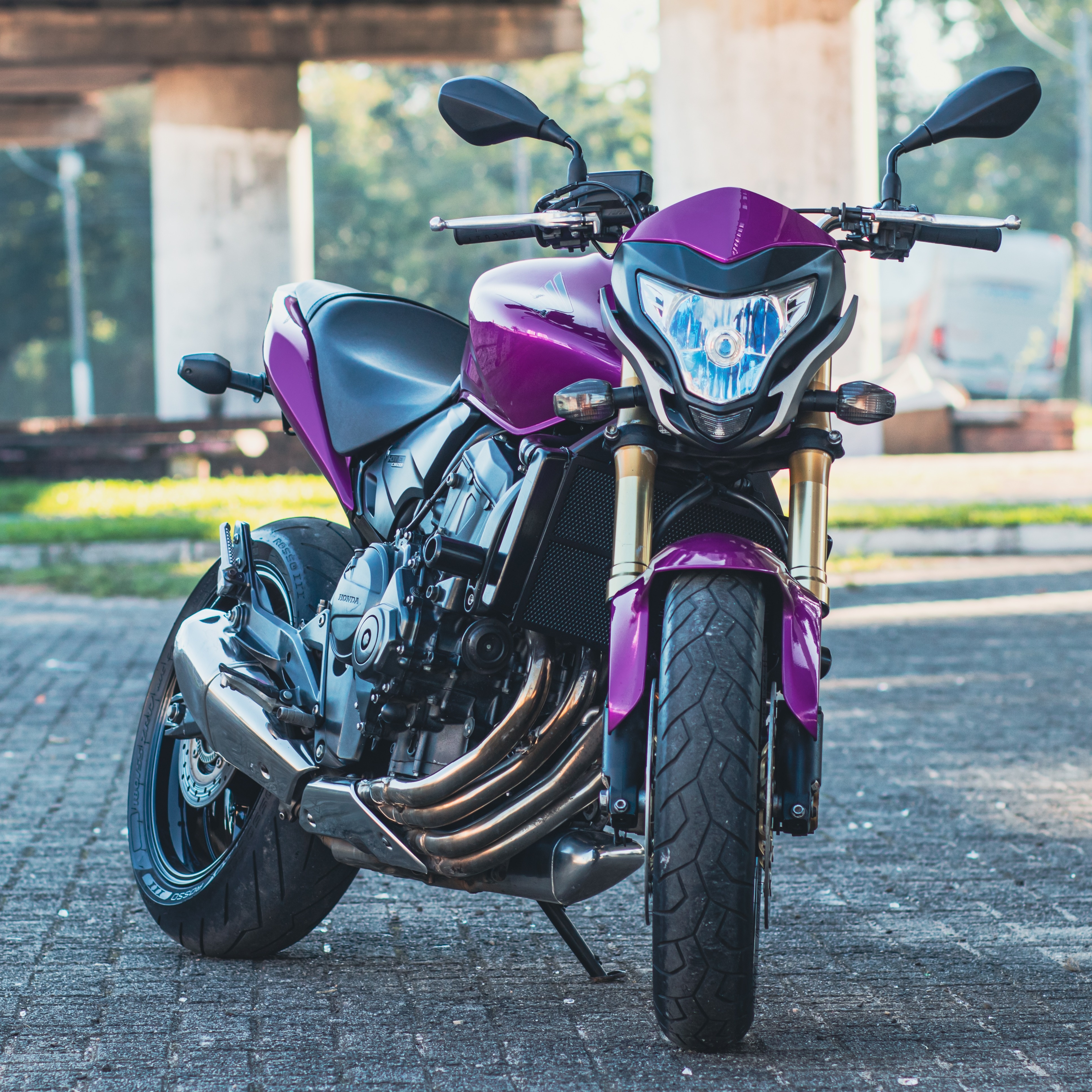 HORNET PURPLE FURY